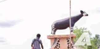 Challenges in Lubutu: How Lack of Internet and Poor Roads Affects Accessibility challenges-in-lubutu-how-lack-of-nternet-and-poor-roads-affects-accessibility