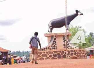 Challenges in Lubutu: How Lack of Internet and Poor Roads Affects Accessibility challenges-in-lubutu-how-lack-of-nternet-and-poor-roads-affects-accessibility