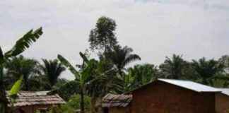 Clashes Reported between Army and M23 in Kiseguro, Rutshuru: Update clashes-reported-between-army-and-m23-in-kiseguro-rutshuru-update