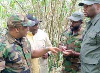 Coalition AFC-M23 Revealed Contacts with ADF for Possible Non-Aggression Pact coalition-afc-m23-revealed-contacts-with-adf-for-possible-non-aggression-pact