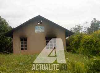 Deadly Attack by ADF Rebels in Loselose Leaves 5 Dead deadly-attack-by-adf-rebels-in-loselose-leaves-5-dead