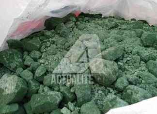 Diversifying Commercial Partnerships: DRC Balances EU, USA, China, and Africa. diversifying-commercial-partnerships-drc-balances-eu-usa-china-and-africa