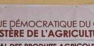 Equipping Coffee Producers in Tshopo Region with Unique Decortication Machines equipping-coffee-producers-in-tshopo-region-with-unique-decortication-machines