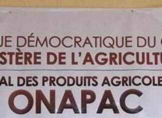 Equipping Coffee Producers in Tshopo Region with Unique Decortication Machines equipping-coffee-producers-in-tshopo-region-with-unique-decortication-machines