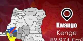 Fatal Accident on RN1: Two Dead and Two Injured in Kwango fatal-accident-on-rn1-two-dead-and-two-njured-in-kwango