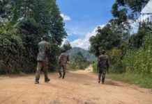 Government Confirms Reconquest of Certain Areas in Eastern DRC; FARDC Preventing M23-RDF Coalition Expansion government-confirms-reconquest-of-certain-areas-in-eastern-drc-fardc-preventing-m23-rdf-coalition-expansion