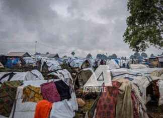 Humanitarian Crisis in the DRC: UNHCR Seeks $226 Million for Displaced Aid humanitarian-crisis-in-the-drc-unhcr-seeks-226-million-for-displaced-aid