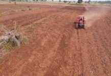 Launching of Cultivation Season B in Lomami: Provincial Agriculture Enterprise Aims to Produce Minimum of 1,000 Tons of Maize launching-of-cultivation-season-b-in-lomami-provincial-agriculture-enterprise-aims-to-produce-minimum-of-1000-tons-of-maize