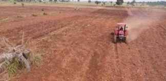 Launching of Cultivation Season B in Lomami: Provincial Agriculture Enterprise Aims to Produce Minimum of 1,000 Tons of Maize launching-of-cultivation-season-b-in-lomami-provincial-agriculture-enterprise-aims-to-produce-minimum-of-1000-tons-of-maize