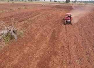Launching of Cultivation Season B in Lomami: Provincial Agriculture Enterprise Aims to Produce Minimum of 1,000 Tons of Maize launching-of-cultivation-season-b-in-lomami-provincial-agriculture-enterprise-aims-to-produce-minimum-of-1000-tons-of-maize