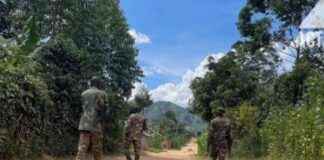 Operation Shujaa: Military Progress but Increased ADF Attacks on Civilians, UN Reports operation-shujaa-military-progress-but-ncreased-adf-attacks-on-civilians-un-reports