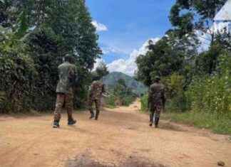 Operation Shujaa: Military Progress but Increased ADF Attacks on Civilians, UN Reports operation-shujaa-military-progress-but-ncreased-adf-attacks-on-civilians-un-reports