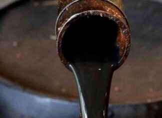 Promulgation de la loi sur l’exploitation des hydrocarbures en RDC promulgation-de-la-loi-sur-lexploitation-des-hydrocarbures-en-rdc