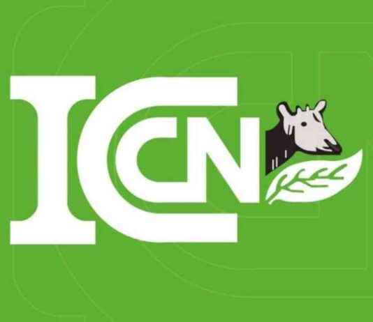 RDC: ICCN clarifies Zoo and Botanical Gardens Rehabilitation Program (Press Release) rdc-ccn-clarifies-zoo-and-botanical-gardens-rehabilitation-program-press-release