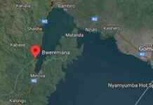 RDC: Situation des combattants du M23/RDF dans différentes régions de la République démocratique du Congo rdc-situation-des-combattants-du-m23rdf-dans-diffrentes-rgions-de-la-rpublique-dmocratique-du-congo