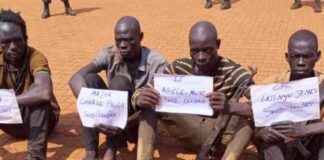 Rebels from NASFA Group in Haut-Uele Presented to Vice-Governor for Transfer to Kinshasa rebels-from-nasfa-group-in-haut-uele-presented-to-vice-governor-for-transfer-to-kinshasa