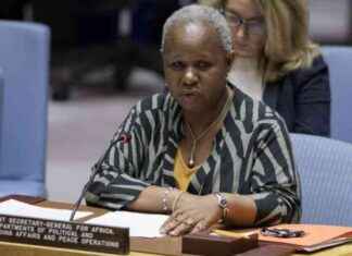 Rwandan Reinforcements Surrounding Goma Prompt Urgent Security Council Action: Bintou Keita rwandan-reinforcements-surrounding-goma-prompt-urgent-security-council-action-bintou-keita