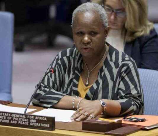 Rwandan Reinforcements Surrounding Goma Prompt Urgent Security Council Action: Bintou Keita rwandan-reinforcements-surrounding-goma-prompt-urgent-security-council-action-bintou-keita
