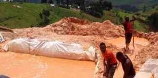 Sud-Kivu: Provincial Assembly and Government Unite Against Illegal Mineral Exploitation sud-kivu-provincial-assembly-and-government-unite-against-llegal-mineral-exploitation