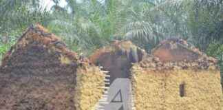 Tensions between Teke and Banunu Communities in Maï-Ndombe: One Dead and Four Injured tensions-between-teke-and-banunu-communities-in-ma-ndombe-one-dead-and-four-njured