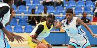 BC Hatari Excels with Liprobakin: A Full Carton Success bc-hatari-excels-with-liprobakin-a-full-carton-success