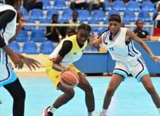 BC Hatari Excels with Liprobakin: A Full Carton Success bc-hatari-excels-with-liprobakin-a-full-carton-success