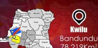 UDPS demands suspension of Kwilu governor in power struggle udps-demands-suspension-of-kwilu-governor-in-power-struggle