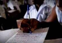 Challenges Faced by Schools in RDC Three Weeks After M23 Advance challenges-faced-by-schools-in-rdc-three-weeks-after-m23-advance