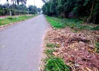 Clean City Initiative: Overcoming Obstacles in Mbuji-Mayi’s Road Development clean-city-nitiative-overcoming-obstacles-in-mbuji-mayis-road-development