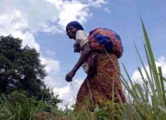 Solidarité du Mouvement Lumbiste avec femmes victimes guerre RDC solidarit-du-mouvement-lumbiste-avec-femmes-victimes-guerre-rdc