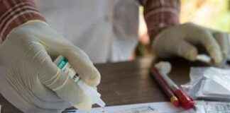 Coalition Parlementaire en Afrique pour Lutter contre le Paludisme et Mobiliser les Ressources Nationales coalition-parlementaire-en-afrique-pour-lutter-contre-le-paludisme-et-mobiliser-les-ressources-nationales