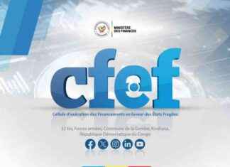 PDL-145T in Maï-Ndombe: CFEF Sheds Light After Complaint from ASCAT SARL, Disrupting Progress in Province pdl-145t-in-ma-ndombe-cfef-sheds-light-after-complaint-from-ascat-sarl-disrupting-progress-in-province