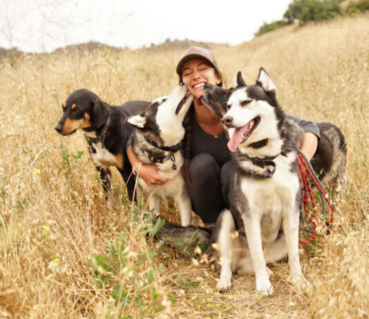 Caring for Dogs in Congo: Comfort, Behavior, and Safety Caring for Dogs in Congo