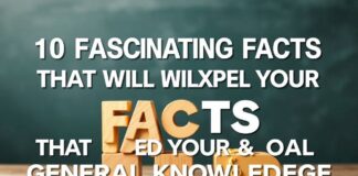 10 Fascinating Facts That Will Expand Your General Knowledge 10 Fascinating Facts That Will Expand Your General Knowledge